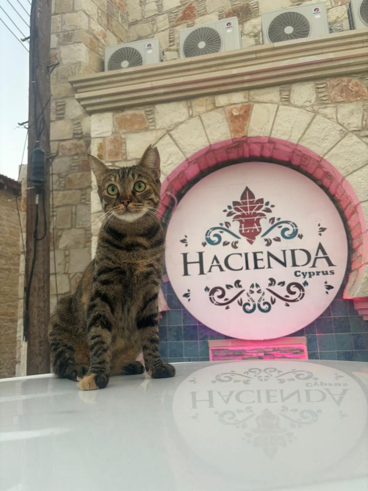 La Hacienda Cyprus Hotel Limassol Bagian luar foto